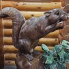 https://cdn-ostrovok-ru-ion.test.edgekey.net/t/100x100/hotel_review/7e/c7/7ec70151441072ab58ab31a1756d9ec2a8681bfe.JPEG