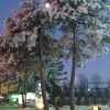 https://cdn-ostrovok-ru-ion.test.edgekey.net/t/100x100/hotel_review/7e/dc/7edc6ae06941cfbd91a04056d76d9e184867a1d0.jpeg