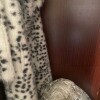 https://cdn-ostrovok-ru-ion.test.edgekey.net/t/100x100/hotel_review/7f/3b/7f3b0568ca27f1210a2ff6ed73b97f13633c6478.JPEG