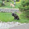 https://cdn-ostrovok-ru-ion.test.edgekey.net/t/100x100/hotel_review/7f/5a/7f5ada6db585b82984c8c11d64d2e54ca3d03656.JPEG