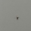 https://cdn-ostrovok-ru-ion.test.edgekey.net/t/100x100/hotel_review/7f/68/7f684223507f70275739078e3b1f93a4b633cdd8.JPEG