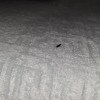 https://cdn-ostrovok-ru-ion.test.edgekey.net/t/100x100/hotel_review/7f/cc/7fccfbf98121f47ae1dfa86d83b51d7a46f0ac01.JPEG