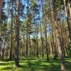 https://cdn-ostrovok-ru-ion.test.edgekey.net/t/100x100/hotel_review/80/15/8015a00ef73244f8efbe8651dbc3362cc73df50a.JPEG