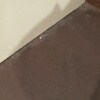 https://cdn-ostrovok-ru-ion.test.edgekey.net/t/100x100/hotel_review/80/7b/807b20d588f87d3924531e9ee8b7e3b4cd2a1180.JPEG
