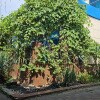 https://cdn-ostrovok-ru-ion.test.edgekey.net/t/100x100/hotel_review/80/81/8081527045637230e422b08a776be4d24549160f.JPEG