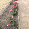 https://cdn-ostrovok-ru-ion.test.edgekey.net/t/100x100/hotel_review/80/c9/80c9ab91c3f94163deb2d2f8849b424d51644aeb.JPEG