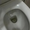https://cdn-ostrovok-ru-ion.test.edgekey.net/t/100x100/hotel_review/80/cf/80cfd5f972e434167868b2ffba7e62f12c7b1470.JPEG