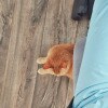 https://cdn-ostrovok-ru-ion.test.edgekey.net/t/100x100/hotel_review/80/f6/80f624934e135234a7d5be913d1a0ffc613c6384.jpeg