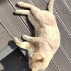https://cdn-ostrovok-ru-ion.test.edgekey.net/t/100x100/hotel_review/81/24/8124593169c296f20264b87de85d5b2b06e7ae10.JPEG