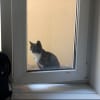 https://cdn-ostrovok-ru-ion.test.edgekey.net/t/100x100/hotel_review/81/5c/815cf3fdf86c48f1824b7d818935f78ef860b1c9.JPEG