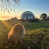 https://cdn-ostrovok-ru-ion.test.edgekey.net/t/100x100/hotel_review/81/bd/81bdd11852402e448d95d62a20c69fcdf11f6539.JPEG