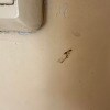 https://cdn-ostrovok-ru-ion.test.edgekey.net/t/100x100/hotel_review/81/fa/81fa61224b304b4c4b611012a69eb750e308d26a.jpeg