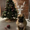 https://cdn-ostrovok-ru-ion.test.edgekey.net/t/100x100/hotel_review/82/05/8205413f427a2e9cf0e3f070d28a33f5793fdf4b.JPEG