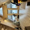 https://cdn-ostrovok-ru-ion.test.edgekey.net/t/100x100/hotel_review/82/09/8209448a8dcaf1be64c4ca97ca0f1c1426c48190.JPEG