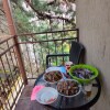 https://cdn-ostrovok-ru-ion.test.edgekey.net/t/100x100/hotel_review/82/2e/822e669007d021597dfda546d88839dbaeb41e3c.JPEG