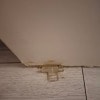 https://cdn-ostrovok-ru-ion.test.edgekey.net/t/100x100/hotel_review/82/36/82364e2a85f4b3b8952dc6533221171ef7a3a15e.JPEG