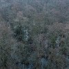 https://cdn-ostrovok-ru-ion.test.edgekey.net/t/100x100/hotel_review/82/6a/826ae55b5d9d00f66a6852f96a1c6bdaf74fe20a.JPEG