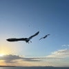 https://cdn-ostrovok-ru-ion.test.edgekey.net/t/100x100/hotel_review/82/80/828042039d8a59ff2bb73940886e52c3f4540127.JPEG