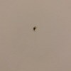 https://cdn-ostrovok-ru-ion.test.edgekey.net/t/100x100/hotel_review/82/c1/82c11f081177ab3308c81fc9597cc0cfed41fabb.jpeg