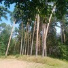 https://cdn-ostrovok-ru-ion.test.edgekey.net/t/100x100/hotel_review/82/ed/82edb34074ab249044cf3dc301b7b63941caf662.JPEG