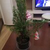 https://cdn-ostrovok-ru-ion.test.edgekey.net/t/100x100/hotel_review/82/f6/82f61482b1da3f6146303904949b4d7b89149dbe.jpeg