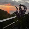 https://cdn-ostrovok-ru-ion.test.edgekey.net/t/100x100/hotel_review/83/06/8306e6704845e5604f7d2213e6313f07c93ed412.JPEG