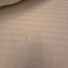 https://cdn-ostrovok-ru-ion.test.edgekey.net/t/100x100/hotel_review/83/20/83200fbcc4f92c9941b68136e9db3c11ebcdd9b9.JPEG