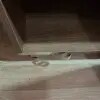 https://cdn-ostrovok-ru-ion.test.edgekey.net/t/100x100/hotel_review/83/87/8387eaaba970e43059f02f12b0969f2dd8d452cc.JPEG