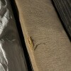 https://cdn-ostrovok-ru-ion.test.edgekey.net/t/100x100/hotel_review/83/a6/83a69202da80f46bd213057f72d5aaf4092f3051.JPEG
