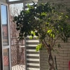 https://cdn-ostrovok-ru-ion.test.edgekey.net/t/100x100/hotel_review/83/db/83db6a10a35a19b896c468ce156b68170f146a30.JPEG