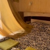 https://cdn-ostrovok-ru-ion.test.edgekey.net/t/100x100/hotel_review/83/f6/83f65a6f35414bf79ef7b86a842df11ce9caf528.JPEG