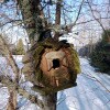 https://cdn-ostrovok-ru-ion.test.edgekey.net/t/100x100/hotel_review/83/f7/83f76d1b21a04c6ede263f79a8281d40ec9a5405.JPEG