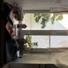 https://cdn-ostrovok-ru-ion.test.edgekey.net/t/100x100/hotel_review/83/f9/83f9370a93ffb9aa46b1430056da43c440cdfe9f.PNG