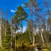 https://cdn-ostrovok-ru-ion.test.edgekey.net/t/100x100/hotel_review/84/4e/844e10f2a26da8a5c0c9af65a801d5b0ffa59b83.jpeg