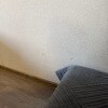 https://cdn-ostrovok-ru-ion.test.edgekey.net/t/100x100/hotel_review/84/9e/849e024ccbed2146f962da5e4269c25cf855611b.JPEG