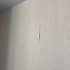 https://cdn-ostrovok-ru-ion.test.edgekey.net/t/100x100/hotel_review/84/a3/84a352e4b8feaad443c7829f4cf4ffc2e286e26d.JPEG
