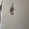https://cdn-ostrovok-ru-ion.test.edgekey.net/t/100x100/hotel_review/84/c9/84c9bcea7dee1148a87aae94fecd8591618e2d6a.JPEG