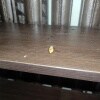 https://cdn-ostrovok-ru-ion.test.edgekey.net/t/100x100/hotel_review/85/06/850698b62ec7f8f4c756b20c87908d957bc5b852.JPEG