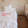 https://cdn-ostrovok-ru-ion.test.edgekey.net/t/100x100/hotel_review/85/72/85729c80263a6cee94b4c97b65e21797e7194f37.jpeg