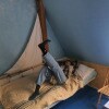https://cdn-ostrovok-ru-ion.test.edgekey.net/t/100x100/hotel_review/85/b6/85b699213cb9935e01c73c57480e2631b7180791.JPEG