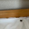 https://cdn-ostrovok-ru-ion.test.edgekey.net/t/100x100/hotel_review/85/f6/85f668defce4ea546b8e1f0e4e09a1881ef03e25.JPEG