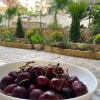 https://cdn-ostrovok-ru-ion.test.edgekey.net/t/100x100/hotel_review/86/15/86156f9513acc48bb1b08a06c969596406c84e31.JPEG