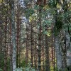 https://cdn-ostrovok-ru-ion.test.edgekey.net/t/100x100/hotel_review/86/48/8648869e1e563ba7dfef415d1a7432e59ab96c96.JPEG