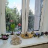 https://cdn-ostrovok-ru-ion.test.edgekey.net/t/100x100/hotel_review/86/95/8695f6e2d9f81ae4e60cbd712ac7ebd79b6db64a.JPEG