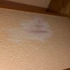 https://cdn-ostrovok-ru-ion.test.edgekey.net/t/100x100/hotel_review/86/99/8699208518f0e55c79f4f904cf4c8e925b83f607.JPEG