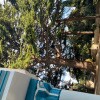 https://cdn-ostrovok-ru-ion.test.edgekey.net/t/100x100/hotel_review/86/b7/86b7009ca2d6c45a009ab54a31351fc607ab8ac6.JPEG