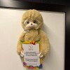 https://cdn-ostrovok-ru-ion.test.edgekey.net/t/100x100/hotel_review/86/c3/86c33ec7a44543585a3204898580b18b3db5be52.JPEG