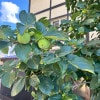 https://cdn-ostrovok-ru-ion.test.edgekey.net/t/100x100/hotel_review/86/c6/86c64b16dcd439714554895ea63f53edd8426982.JPEG