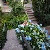 https://cdn-ostrovok-ru-ion.test.edgekey.net/t/100x100/hotel_review/87/3a/873ab9048ea0242a4a779882436253afb4b13f82.JPEG