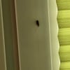 https://cdn-ostrovok-ru-ion.test.edgekey.net/t/100x100/hotel_review/87/43/8743b203b164fb592d993364d35b7b8da5fad576.JPEG